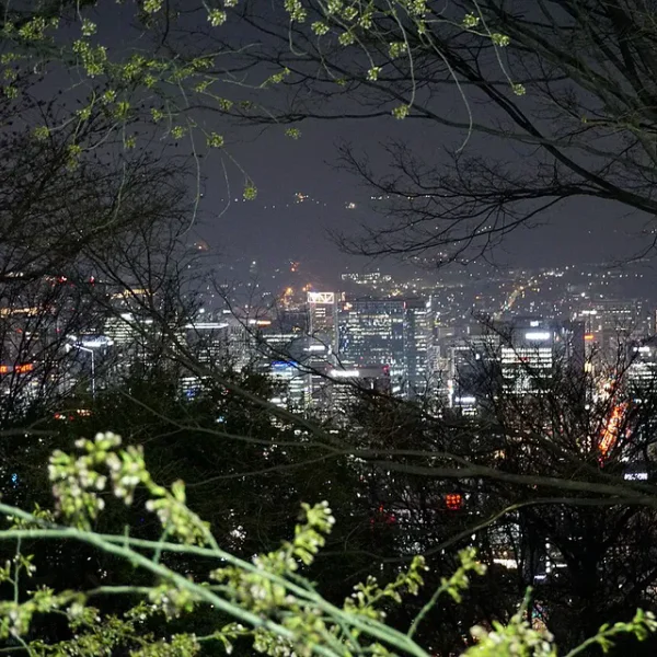 아로마 혜리포레스트 테라피 대표 안내 이미지